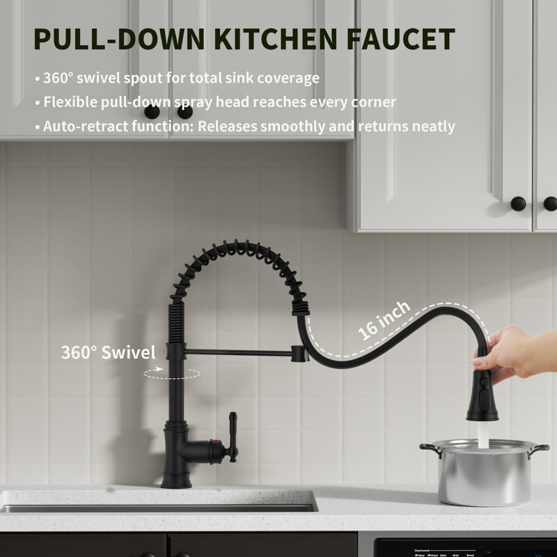 Single-Handle Pull-Down Sprayer Coil Spring High-Arc Kitchen Faucet With Deckplate Sink Faucet In Matte Black, Matte Black