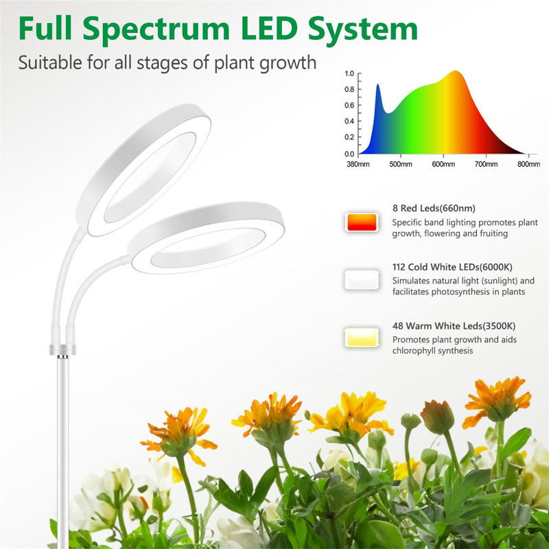 Naomi Grow Light