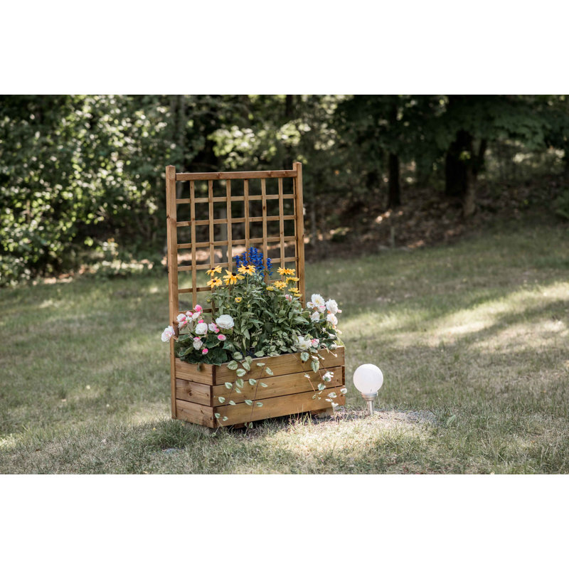 Abbott Wood Planter Box with Trellis