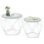 Alieya Glass Top Frame Nesting Tables-782673039