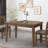 1 Piece Rectangular Dining Table without Chair