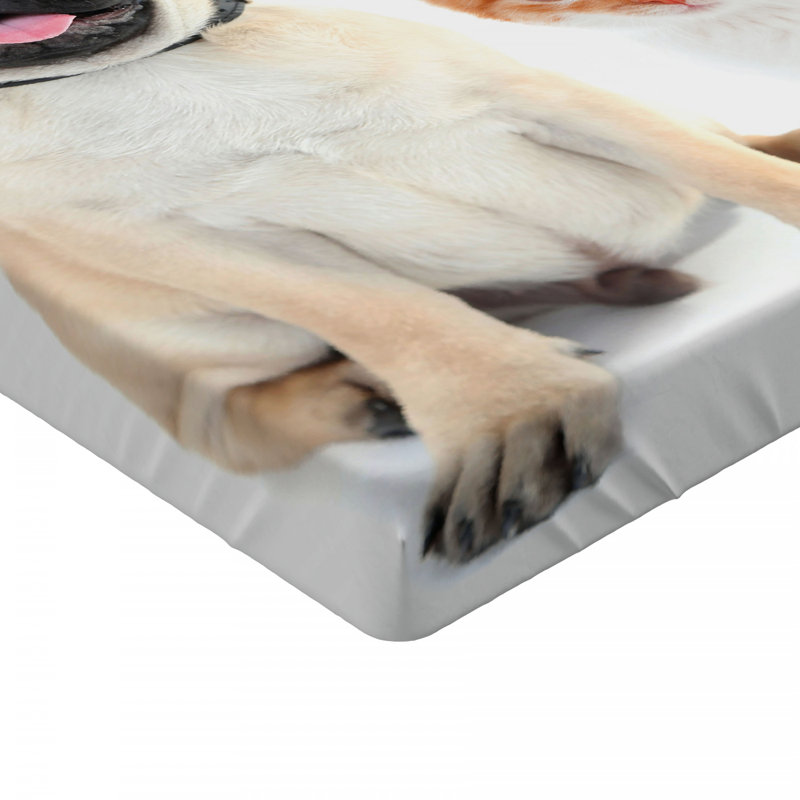 Microfiber Fitted Sheet, Twin XL Fitted Sheet