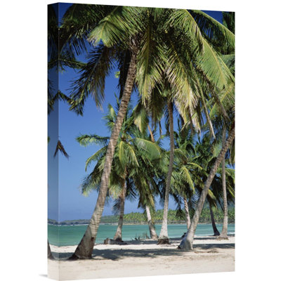" Coconut Palm Trees And Beach "