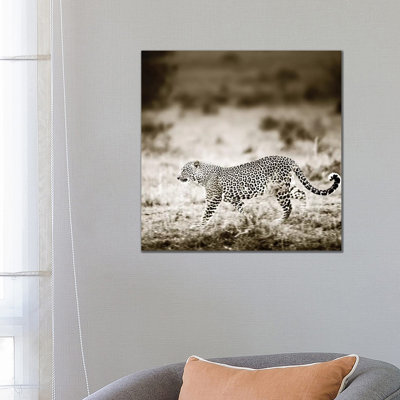 Approaching Leopard by Klaus Tiedge - Wrapped Canvas Print