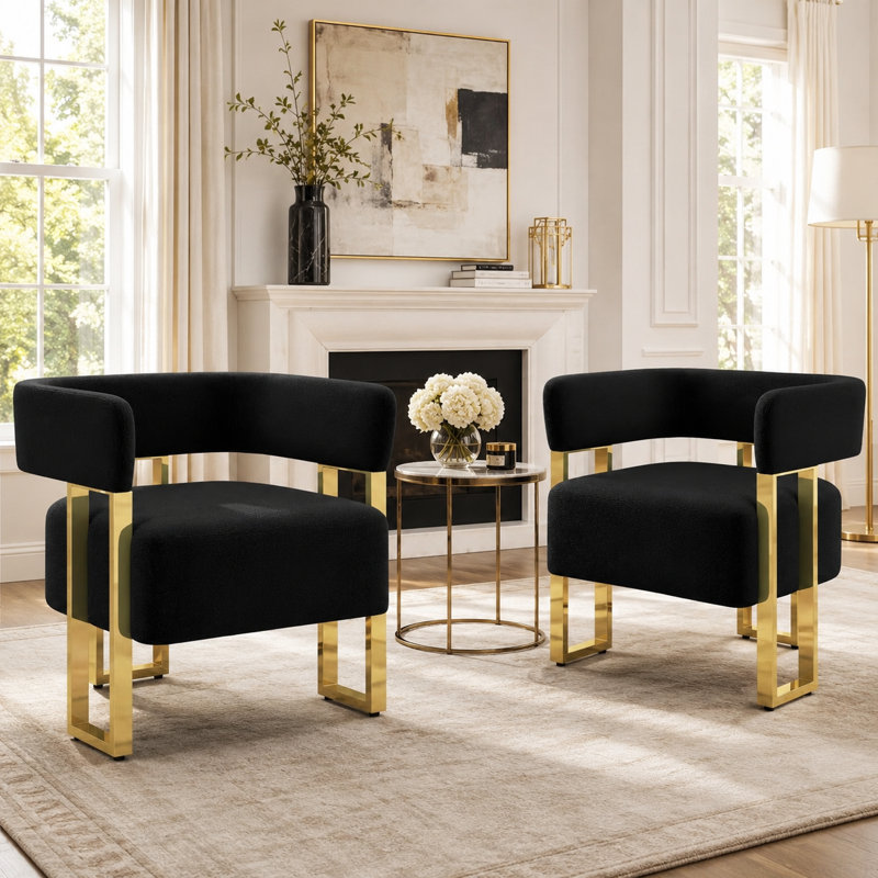 Accent Armchair With Metal Frame(Set Of 2), Black Teddy