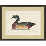 Woodland Decoy 3 Painting