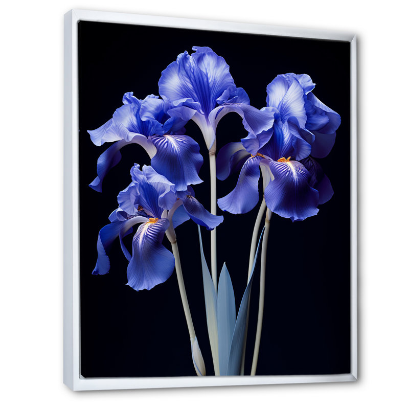 Élégants iris en noir et bleu I - iris, salon d'art mural, Cadre flottant blanc, H 40 po x l 30 po x P 1,5 po