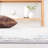 Chandlor Eternal Performance Abstract Rug-969904841