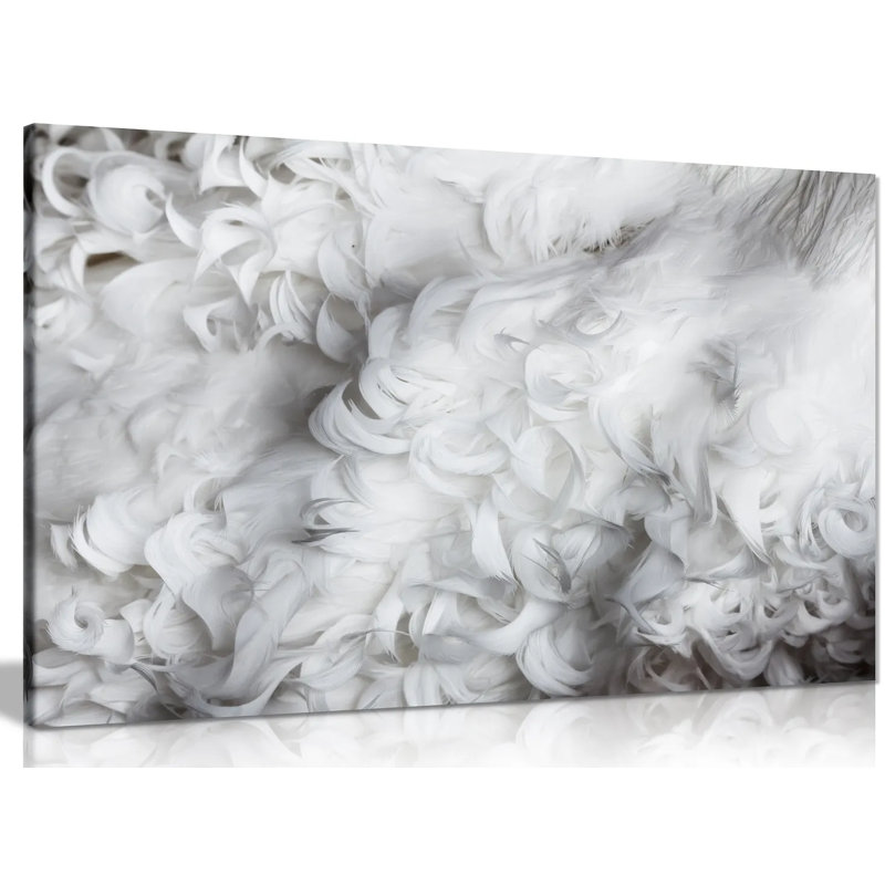 Feathers - Wrapped Canvas Print, 61cm H x 91cm W