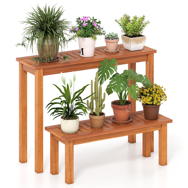 Ensemble de 2 supports à plantes en bois avec support à plantes rustique en teck