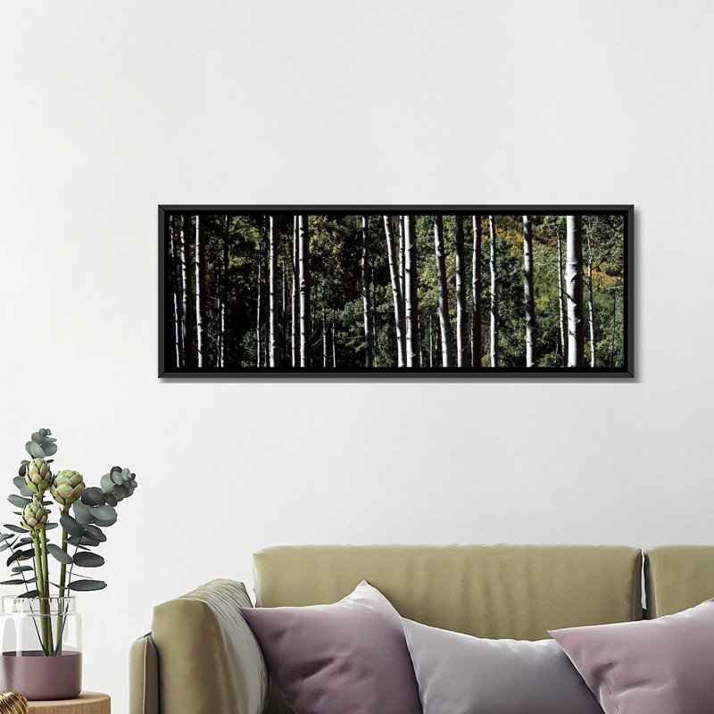 « panoramique white aspen tree malls », reproduction de photo sur toile tendue, H 20 po x l 60 po x P 1,5 po