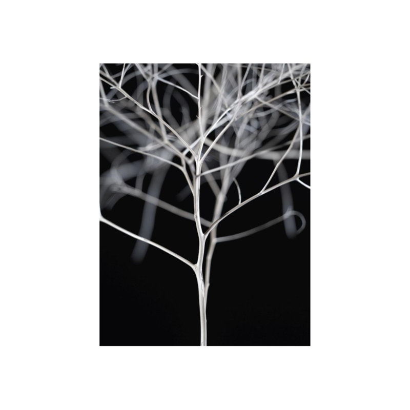 Sonora II Print by Chris Dunker, Matte, 32" H x 24" W x 1.5" D