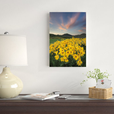 «Metow Valley Wildflowers I» par Alan Majchrowicz - reproduction de photo sur toile tendue