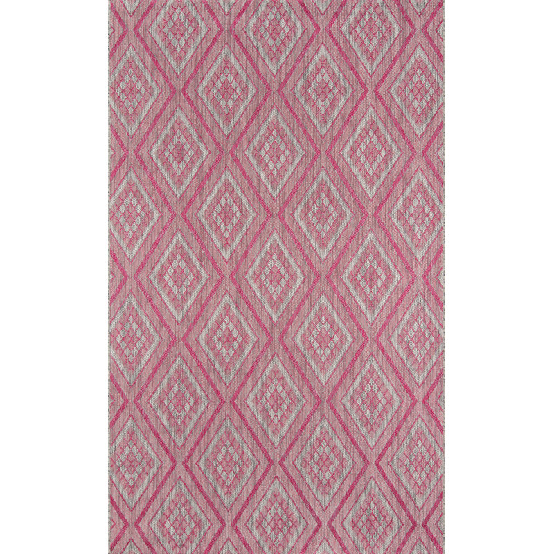 Tapis d'intérieur / extérieur rose Lake Palace Rajastan, Rectangle 9 pi 3 po x 12 pi 6 po