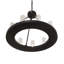Loxley 9 - Light Chandelier