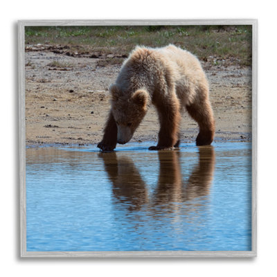 " Grizzly Cub In Stream " by Lena Owens