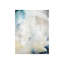 Ivory Blossom Print by James McAllen-25802681-25802684