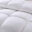 All Season Down Down Comforter-970492574