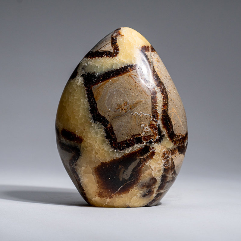 Polished Septarian Freeform from Madagascar (1.7 Lbs)