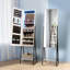 Jamirrah Wall Jewelry Armoire