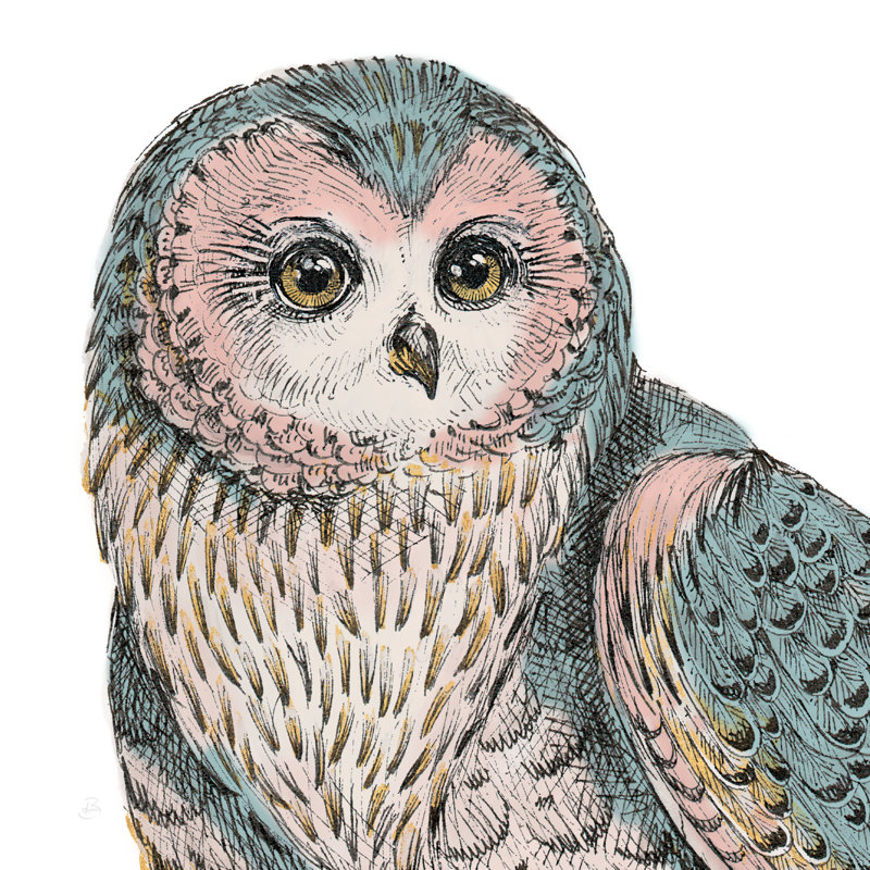 Beautiful Owls IV Pastel Crop by Daphne Brissonnet - Wrapped Canvas Art Prints, 30cm H x 30cm W x 3.8cm D