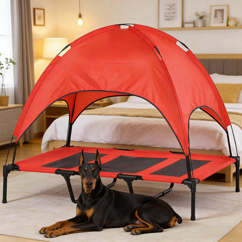 Lit pour animal de compagnie de style moderne, lit pour chien portatif surélevé, Noir / Rouge