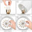 Ensemble de lampe de table 13,6 "Cab-888897691-888705955