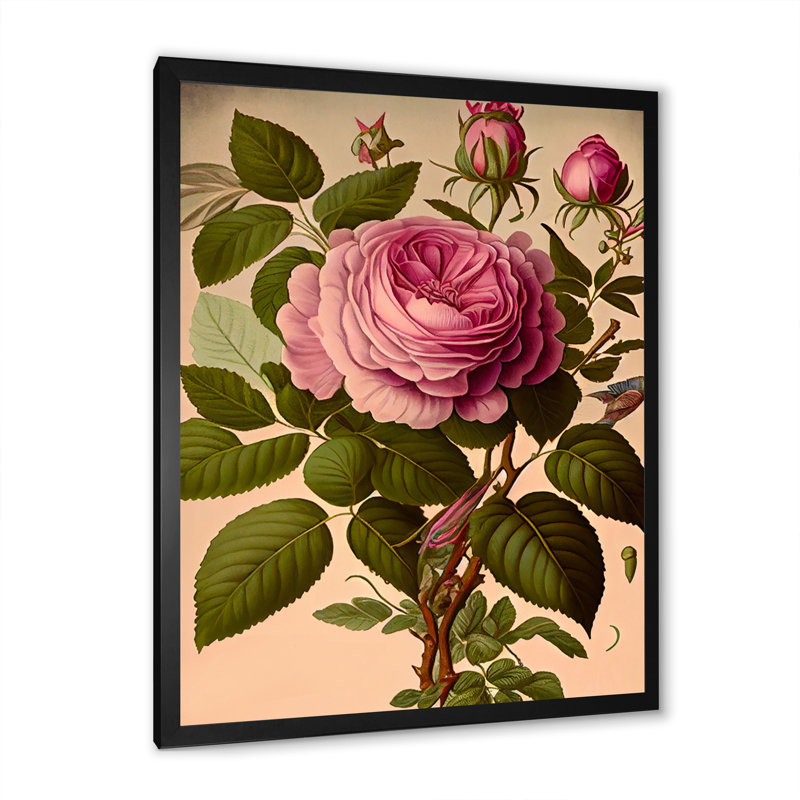«Blossoming Vintage Rose I», reproduction sur toile, Impression noire sur toile encadrée, H 20 po x l 12 po x P 1 po