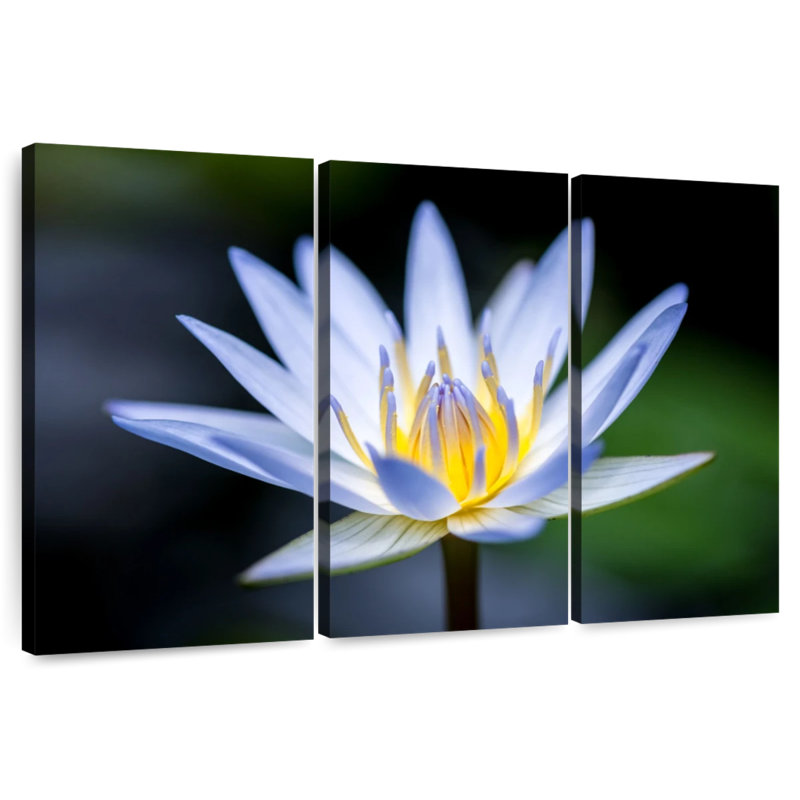 Harnek Violet Lotus Flower, 20" H x 33" W