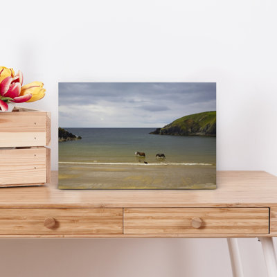 Walking Injured Horse Dunabrattin Cove The Copper Coast County Waterford Ireland by George Munday - Wrapped Canvas Print