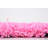 Angeline Indoor Rug-566940699