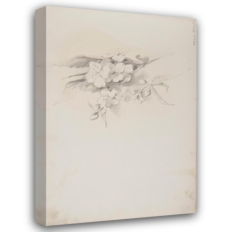 "Sketches of Flowers" by  Ferdynand Bryll - Gallery Wrap Canvas Wall Art, 24" H x 17" W