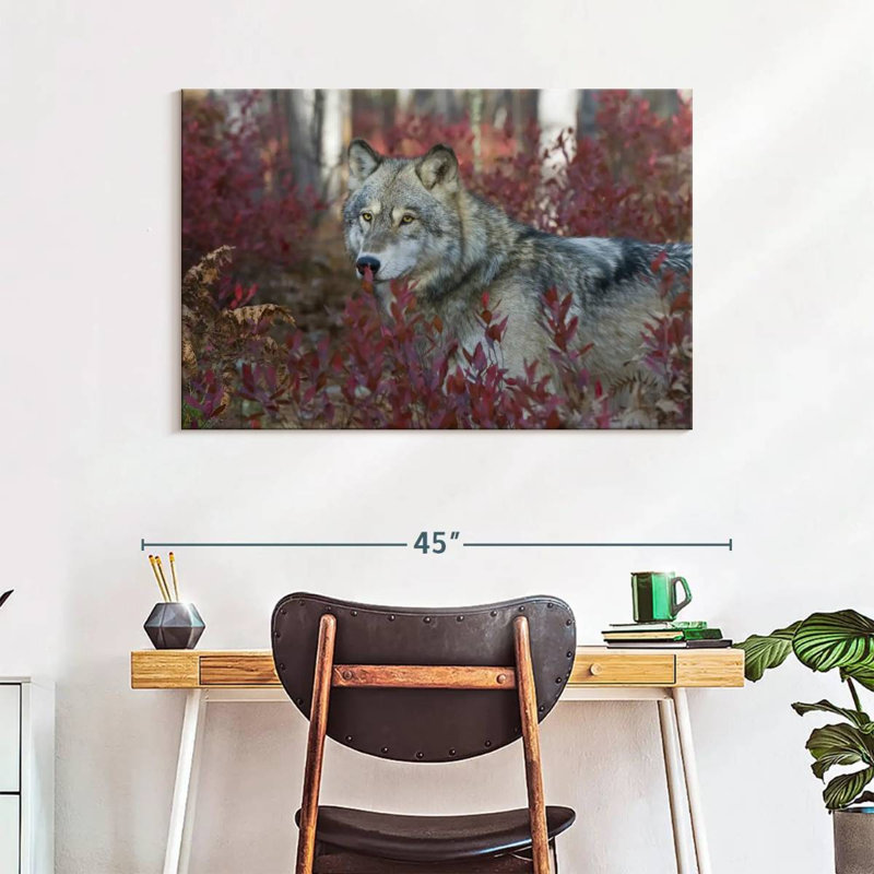 Loup gris Brampt