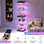 Display Cabinet-865401063