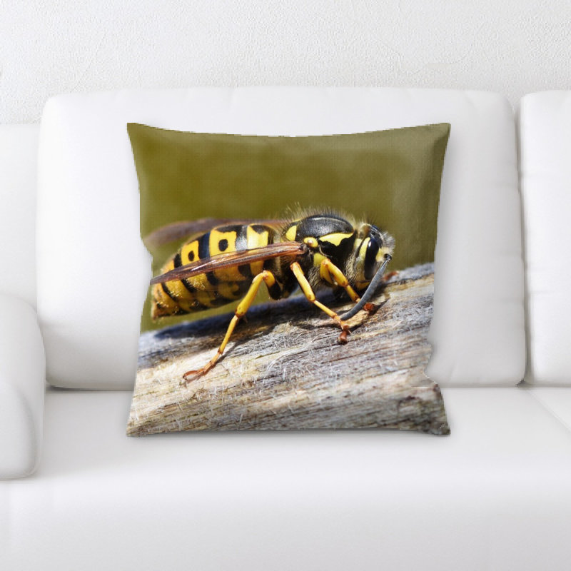 Coussin hornet