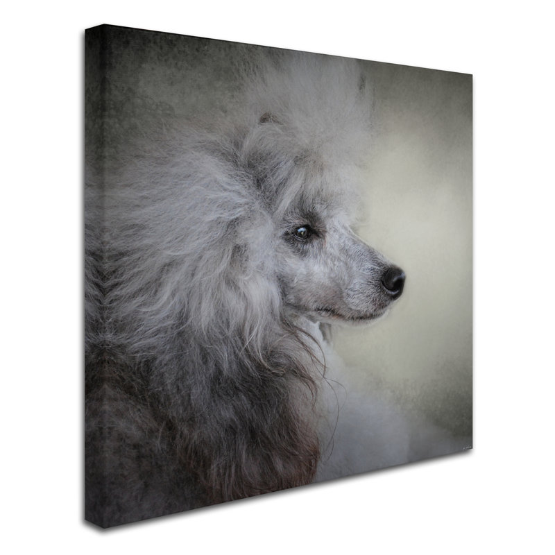 «Longing Silver Standard Poodle» de Vidur, impression sur toile tendue, H 18 po x l 18 po
