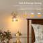 Armed Sconce