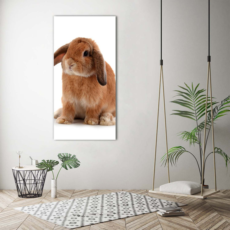 Rabbit - Wrapped Canvas Print