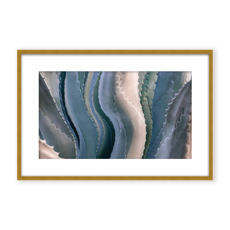Nature Inspired Sonoma Summertime Roadside Abstract by  - Picture Frame Photograph on Paper, Framed Canvas, Black