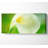 Single White Calla Lily - Wrapped Canvas Panoramic Print-1246052026