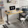 Mancheer Electric Adjustable Standing Desk with Movable Power Strip & Silence Motor