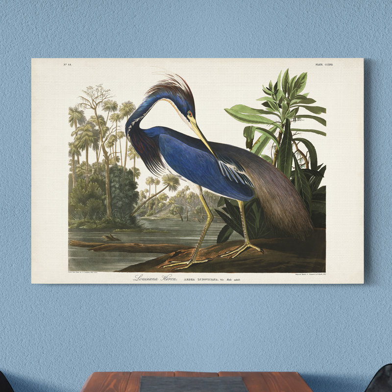 « Pl 217 Louisiana Heron », reproduction d’art sur toile tendue, H 36 po x l 24 po x P 1 po