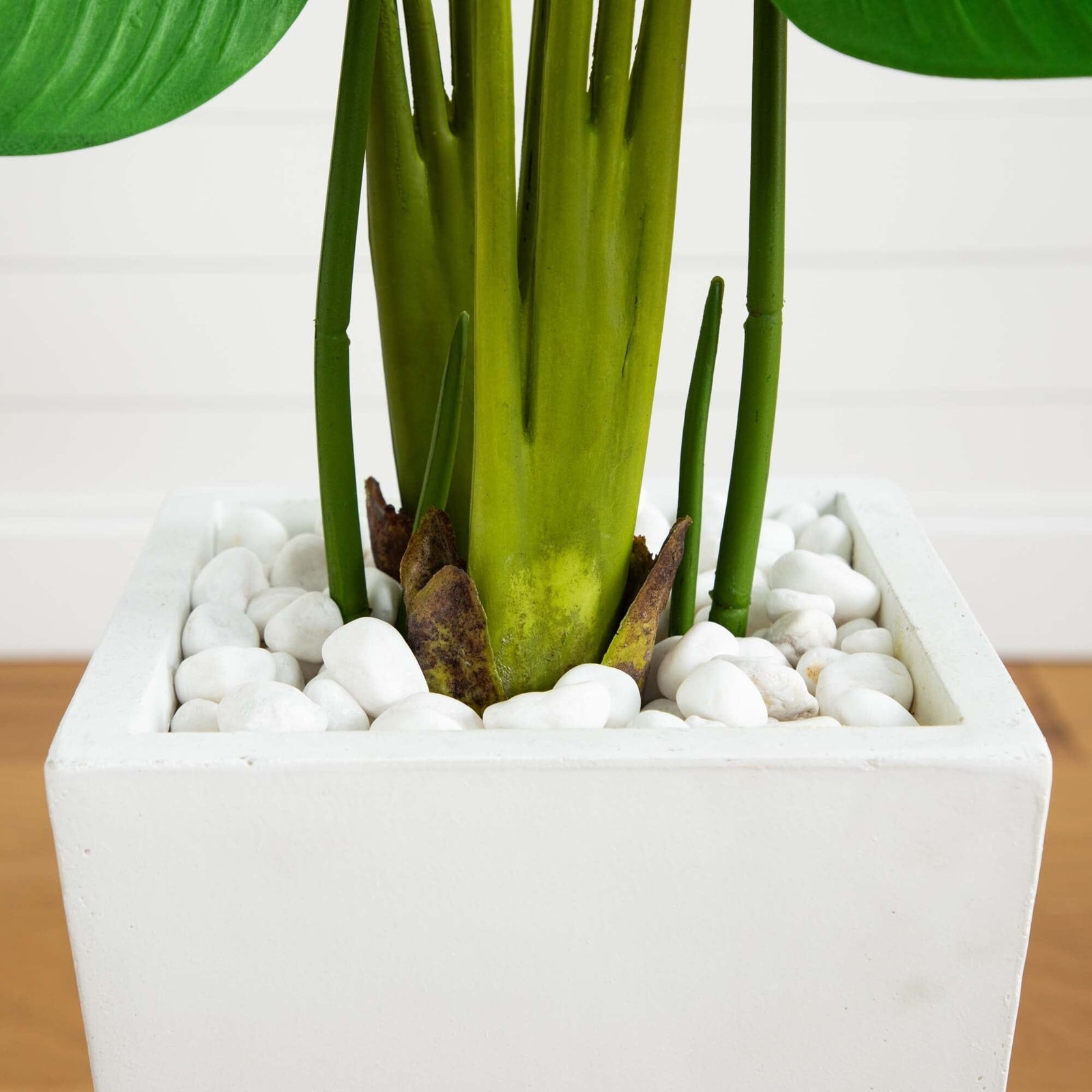 60 " Palm Tree in Planter