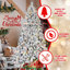Arbre de Noël 4 pi avec 150 lumières colorées UL et 21 pommes de pin naturelles - 366 pointes en PVC enneigées, branches articulées, support en métal stable, installation facile-1773530383
