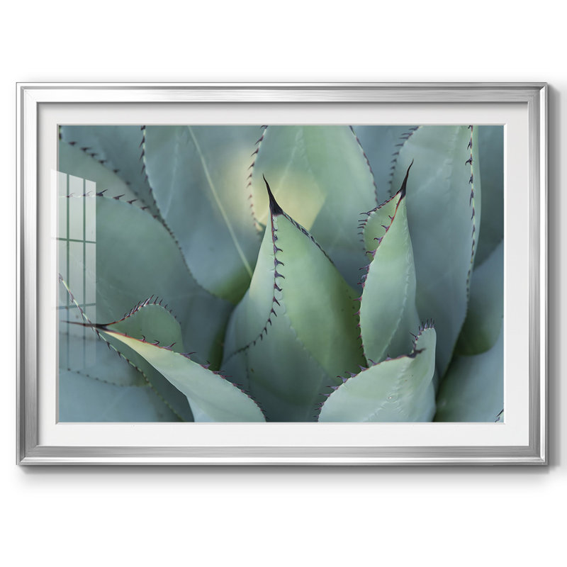 «Blue Agave I», impression sur papier, H 27 po x l 39 po x P 1,5 po, Argent