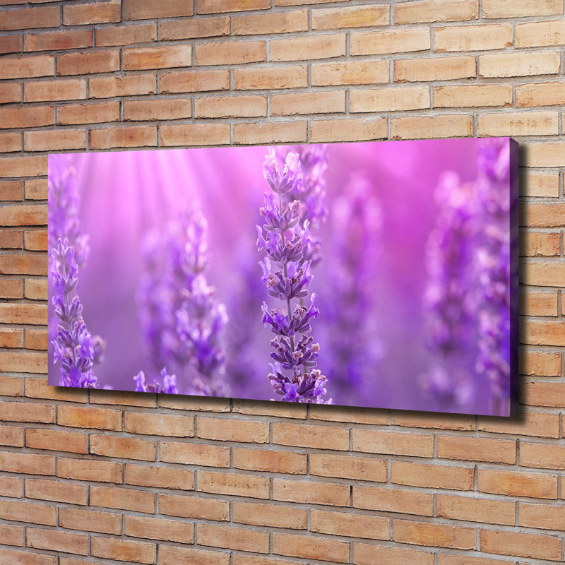 Lavender 1 Piece Wall Art on Canvas