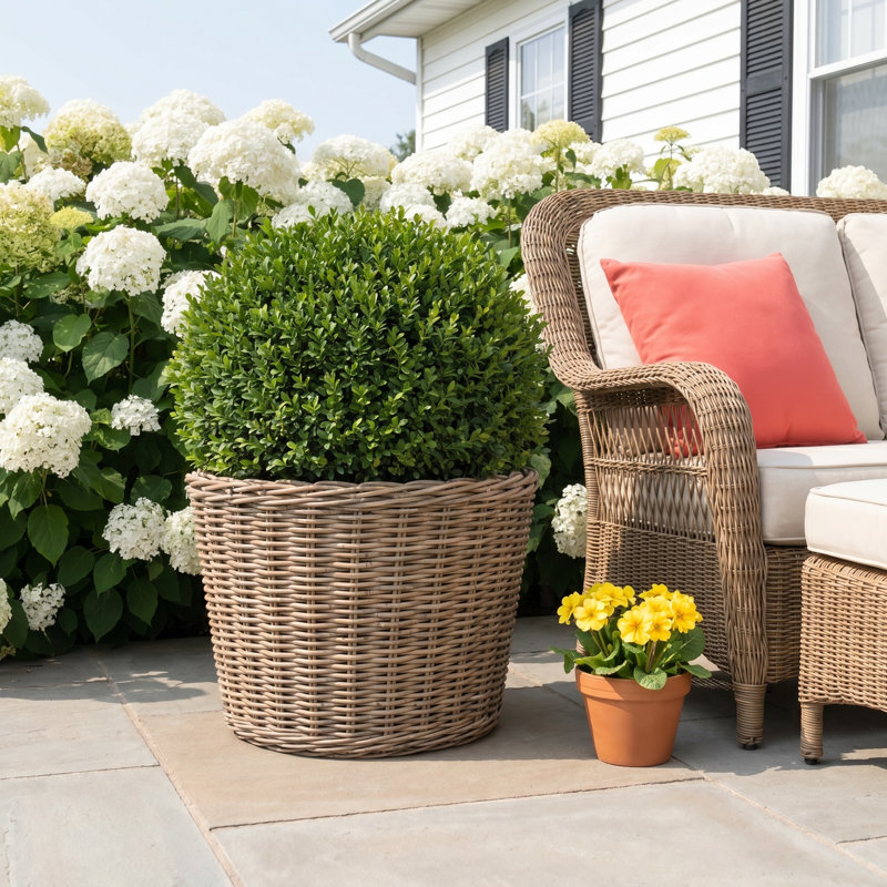 Round Cone Planter with Black Plastic Insert