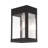 Throncliffe Wall Light-1039099908-1039110225