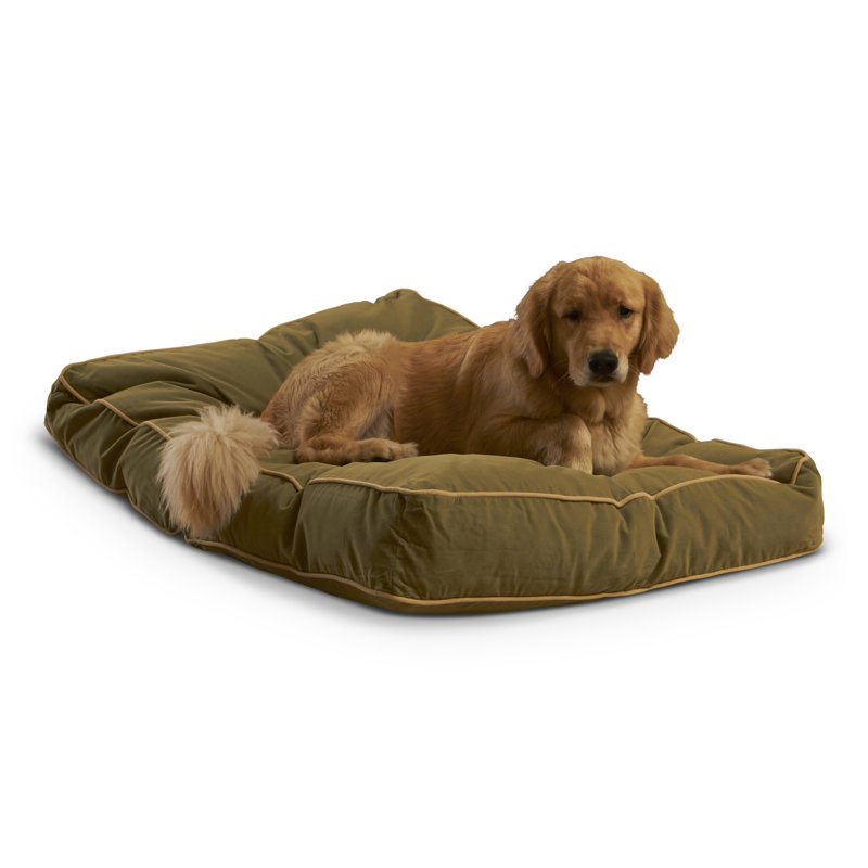 Lit pour chien Olivarez Classic, Grand (L 48 po x l 36 po x H 6 po), Moss