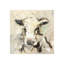 Cow III Print by Elena Carlie-26941225-26941231